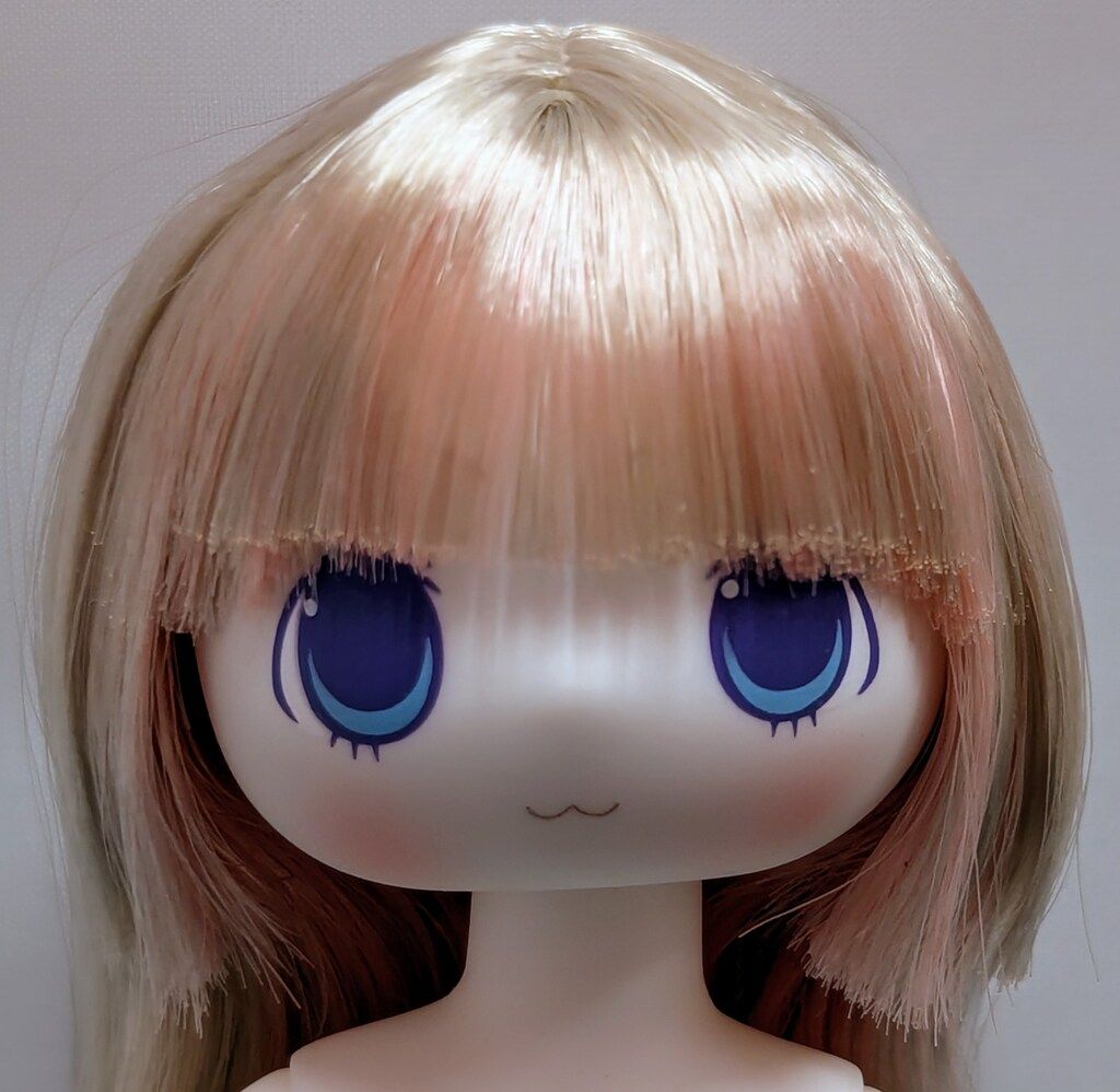 ペットワークス ジョシィKn pk ジトタレメちゃん