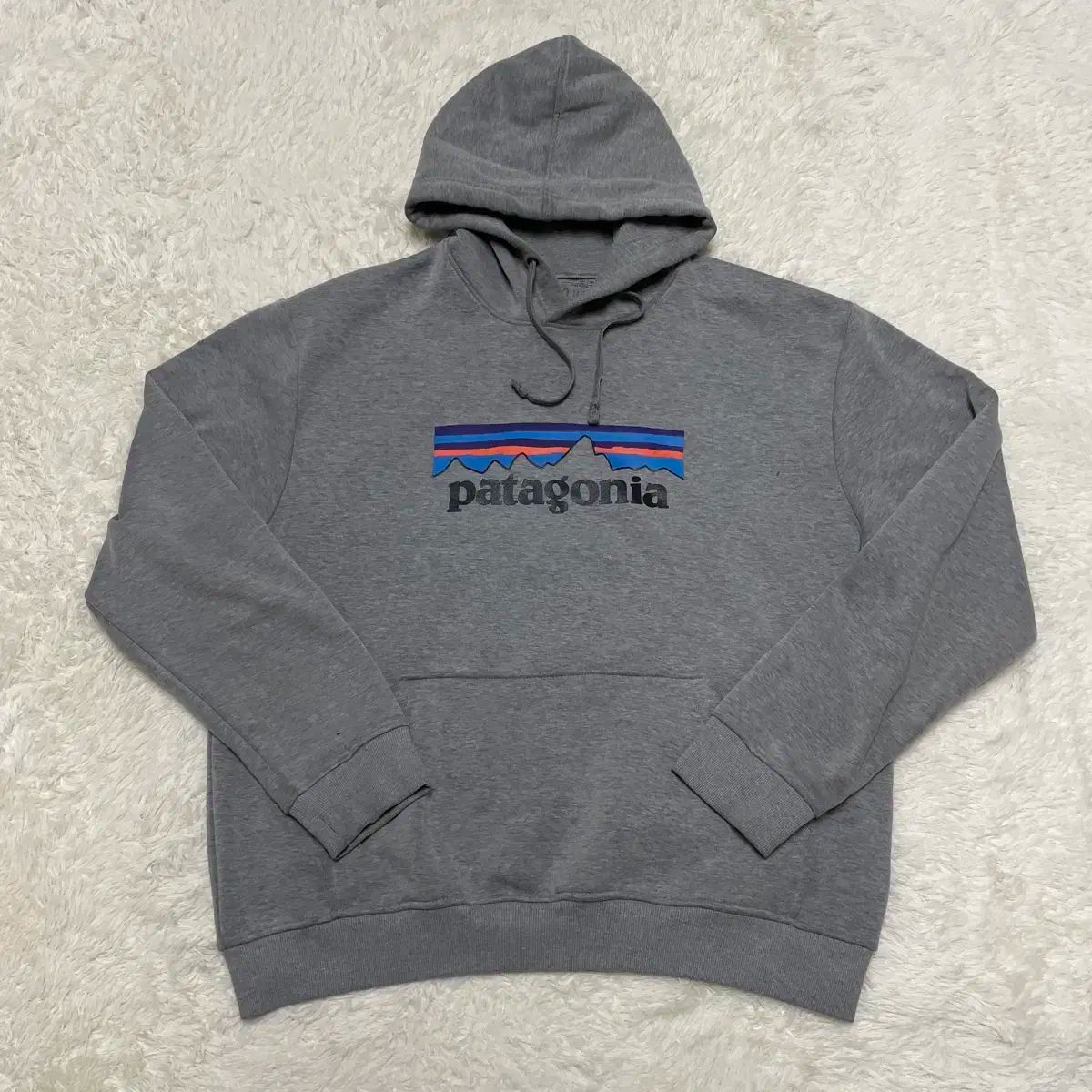 正規品 patagonia(パタゴニア) 裏起毛 フード L