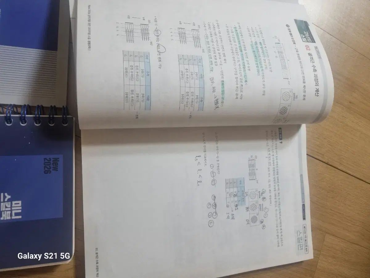 白虎 T