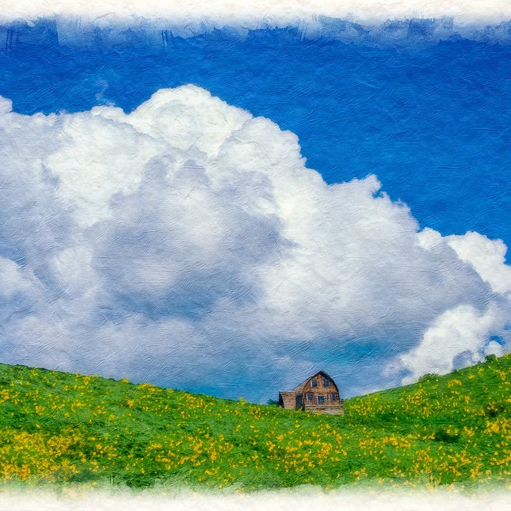 和紙の絵写真 「入道雲とニッコウキスゲの丘の上の山小屋」 平面額縁