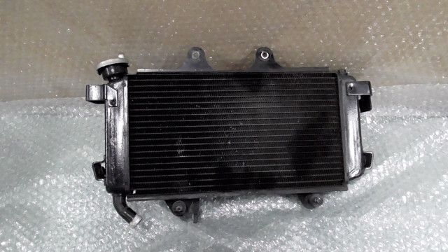 250 DUKE VBKJPE404JC056xxx の ラジエター 1750127073