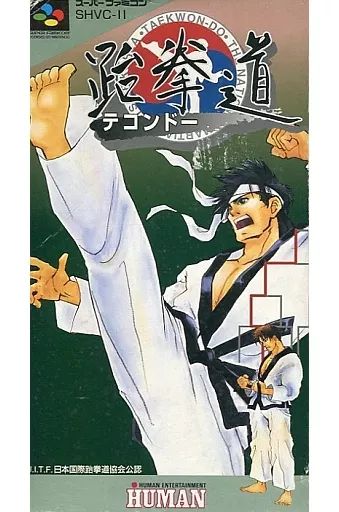 スーパーファミコンソフト テコンドー