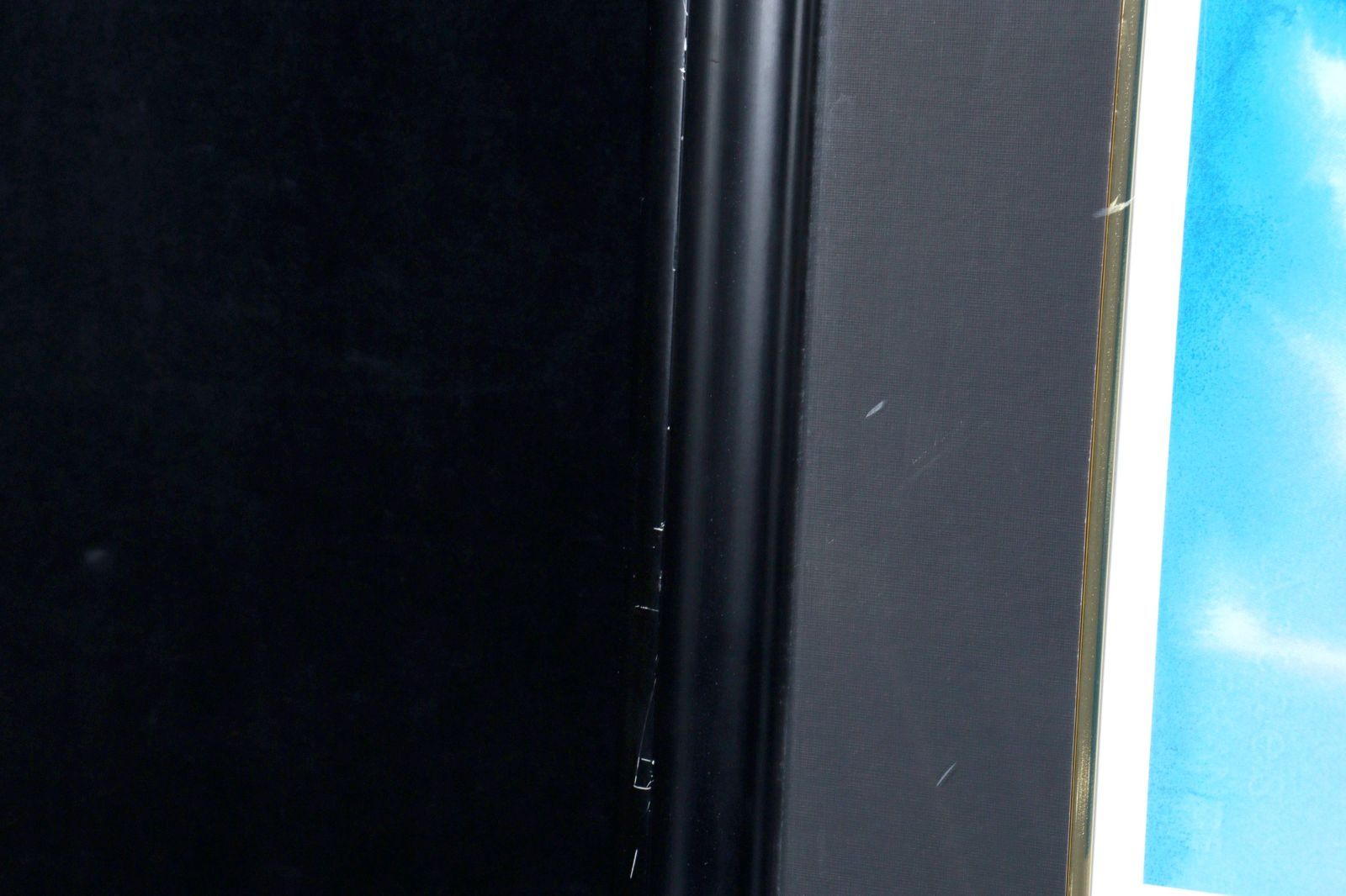 ▽ クリスチャン・ラッセン 「DOLPHIN] シルクスクリーン 21/250 直筆