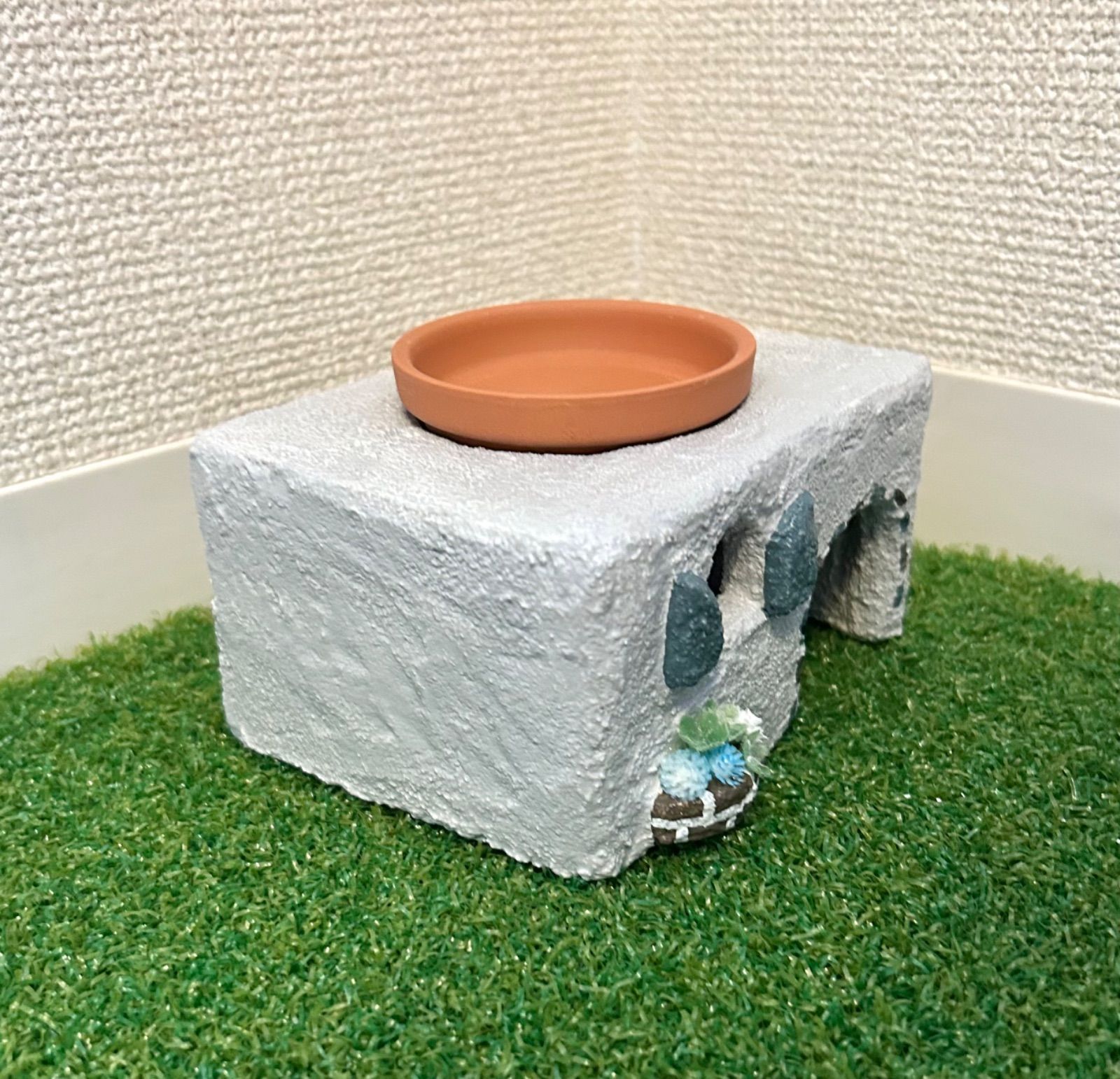 爬虫類 ウェットシェルター