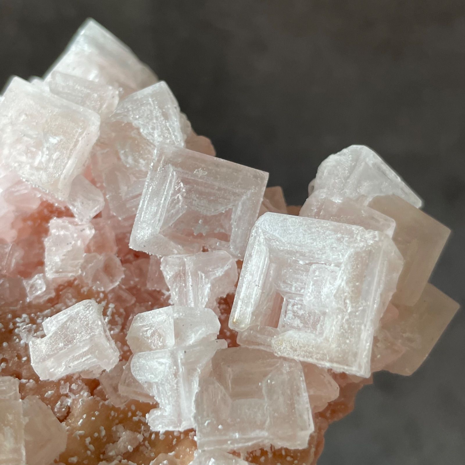 カリフォルニア産|pink Halite ピンクハライト|岩塩 原石|天然石