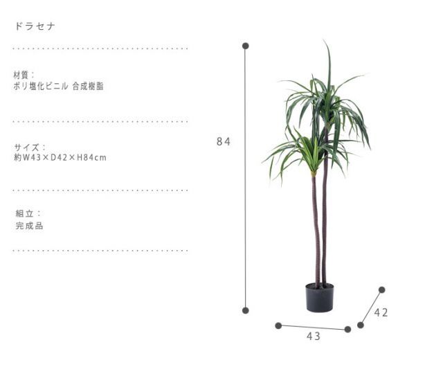 GREEN INTERIOR グリーンインテリア ドラセナ STEELWINDOWSANDDOORS_COM