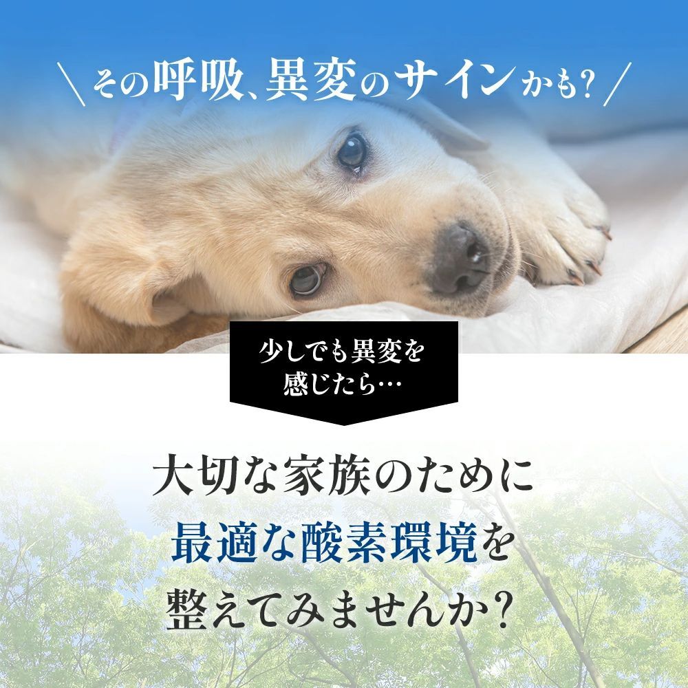 小動物