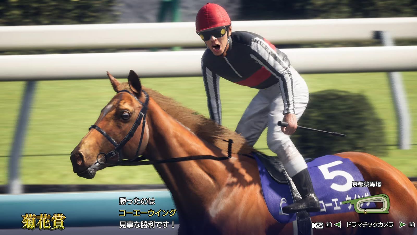 Switch】Winning Post 10 2025 プレミア厶ボックス [PBOX] [Switch]