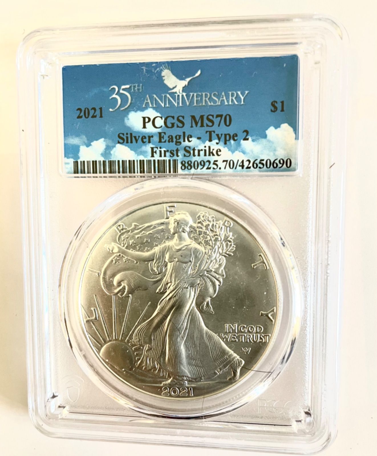 その他アメリカ イーグル銀貨2枚セット PCGS-MS69-1オンス銀貨- - その他