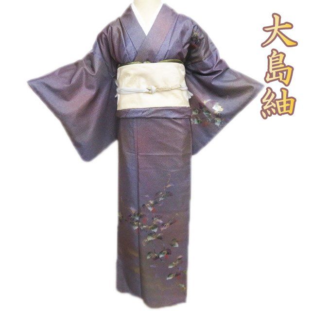 大島紬 染大島 着物 中古 正絹 袷 セミフォーマル 茶系色 多色 身丈162.5