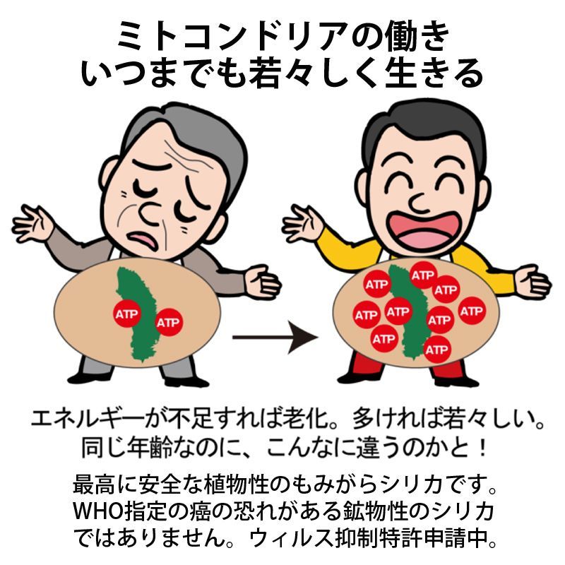 新品】国産シリカ微粉末 2袋セット（農薬不使用）- メルカリ