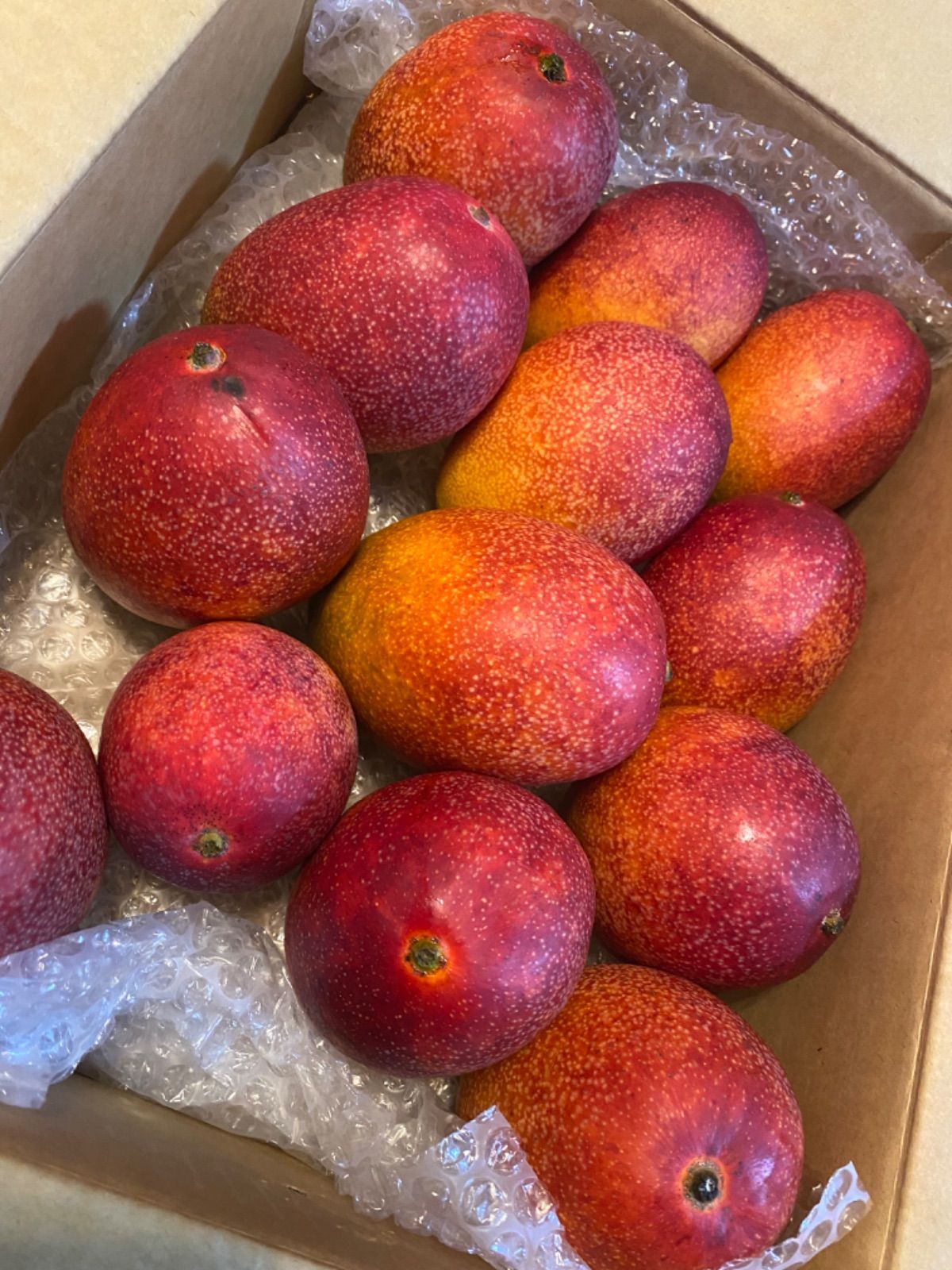 宮崎完熟 特大ミニマンゴー 購入 セット 13玉 4k 冷蔵発送〜 ♢♢ 宮崎