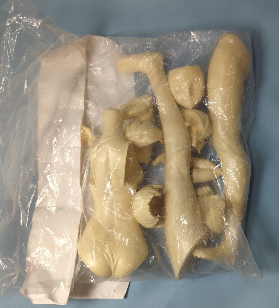 薬味すだち ノンスケールキャストキット 咲野明日夏