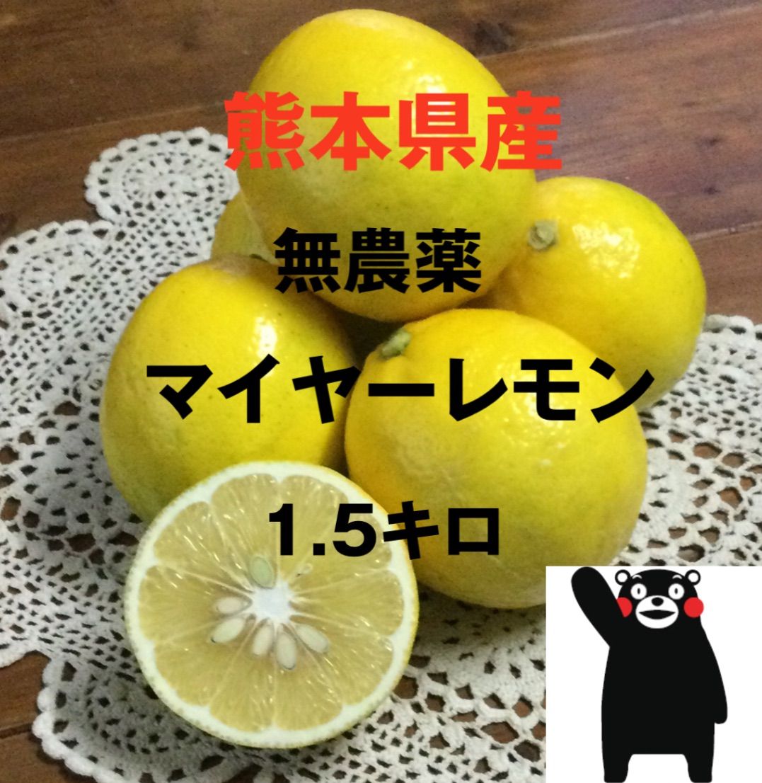 Toooさま専用⭐︎マイヤーレモン - 果物