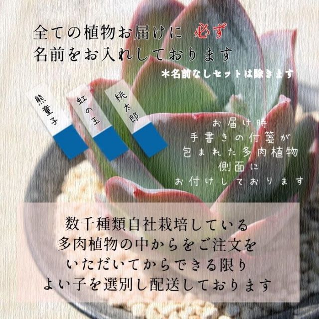 のサムネイル