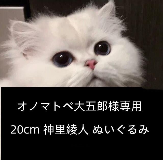 オノマトペ大五郎様専用ページ 20cm 神里綾人 ぬいぐるみ