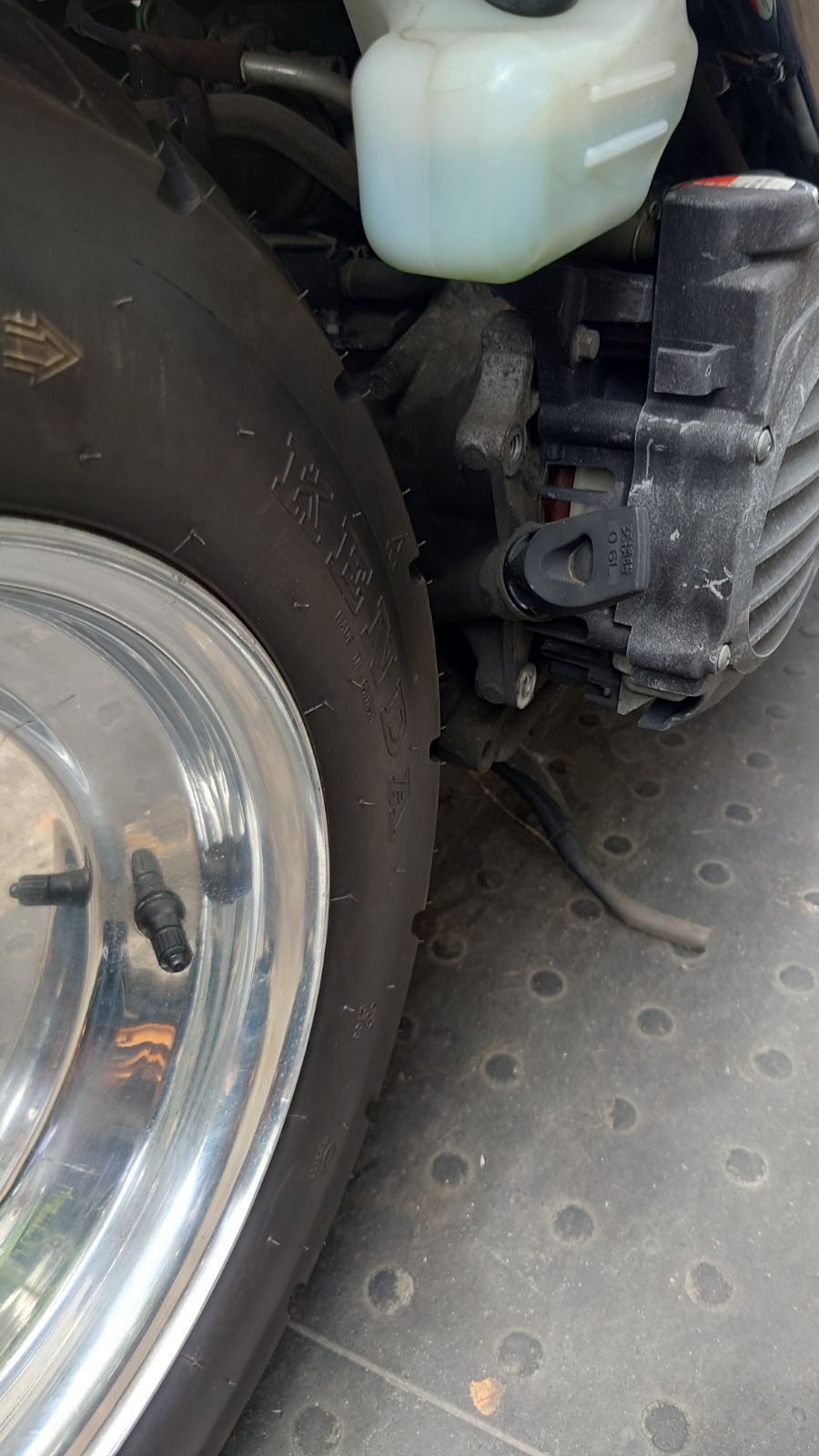 リアホイール ダグラス