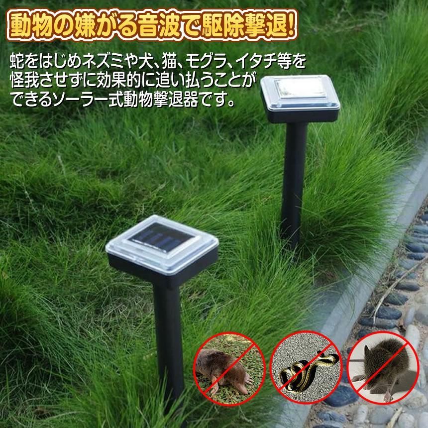 超音波