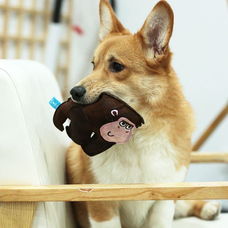 のサムネイル