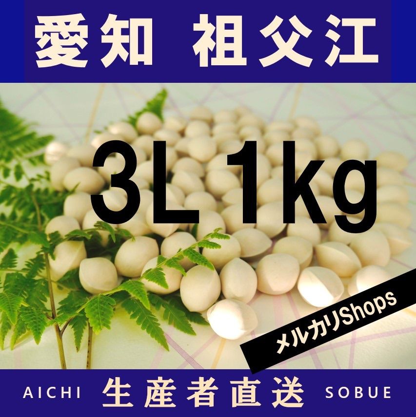 2024年新物 生産者直送 久寿ぎんなん 愛知県 祖父江産 銀杏 3L 1kg - メルカリ