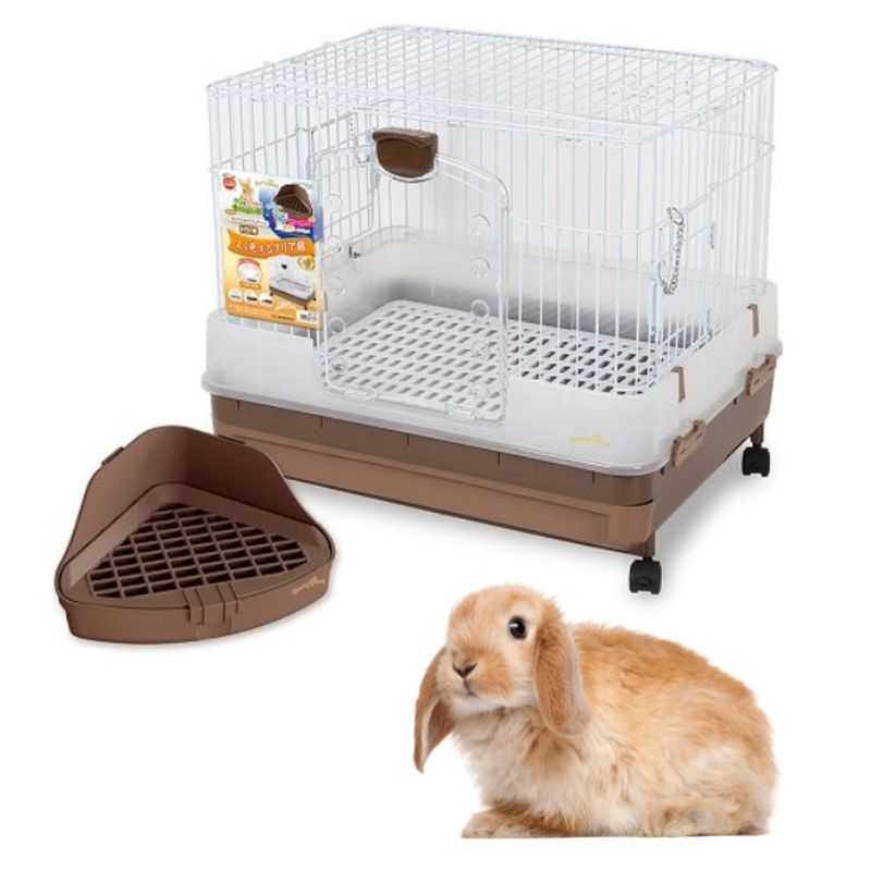 多頭飼い