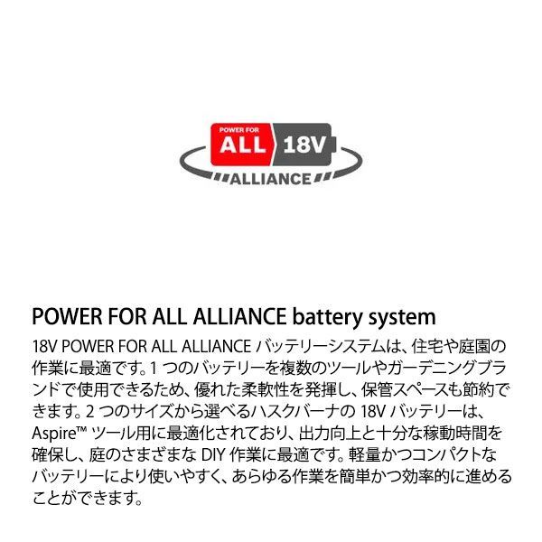 ハスクバーナ 充電式ハンディチェンソー Aspire PE5-P4A プルーナ＋ポールキット 970621409 枝打 高枝 剪定 チェンソー チェーンソー HRDEVELOPMENT_JP