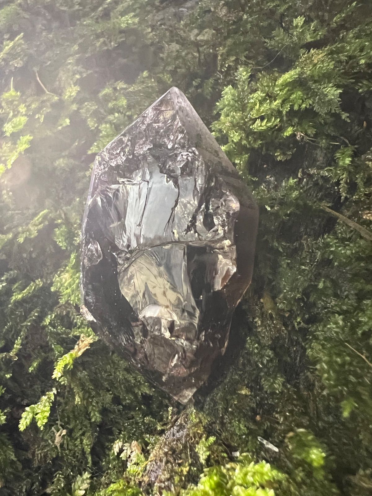 龍脈の精髄 ― 宮崎産黒水晶 「闇を封じる最強の護り」【保護猫