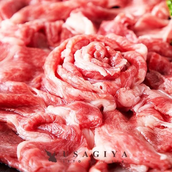 仙台牛 切り落とし 500g 牛肉 A5 等級 ランク 和牛 国産 冷凍 訳あり 無選別 部位 バラ肉 肩 モモ 霜降り 赤身 焼肉 すき焼き ブランド牛