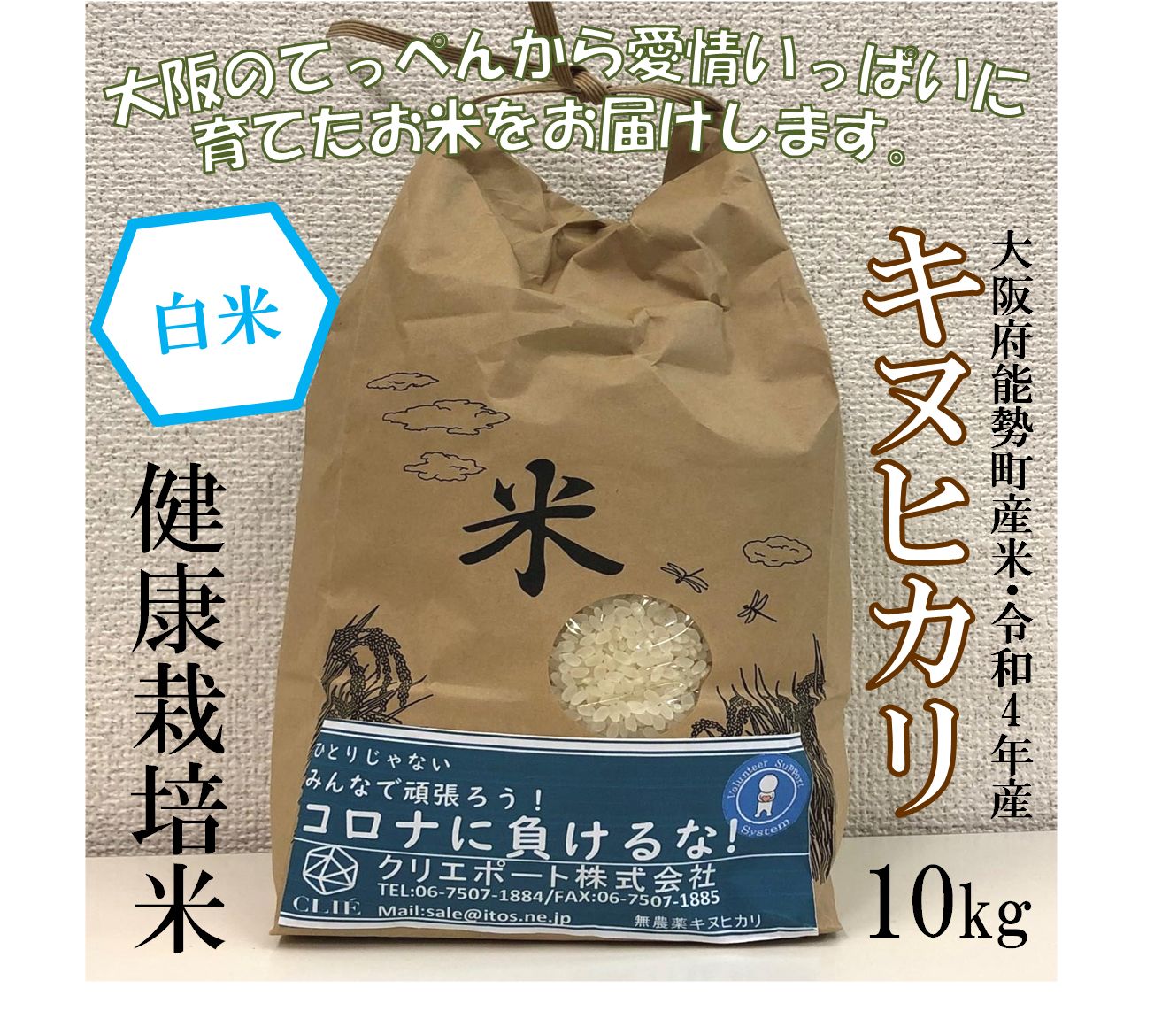 【令和4年産/健康栽培米】大阪のてっぺんキヌヒカリ白米10kg大阪府能勢産