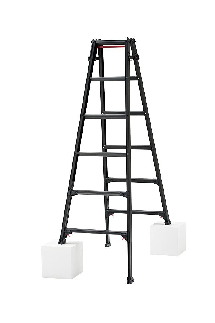 人気商品長谷川工業Hasegawa BLACK LABEL 伸縮式はしご兼用脚立ワンタッチバー付 RYZB-18 1.61~1.92m 10139  6段 1.61~1.92m くらし快適ショップ メルカリ