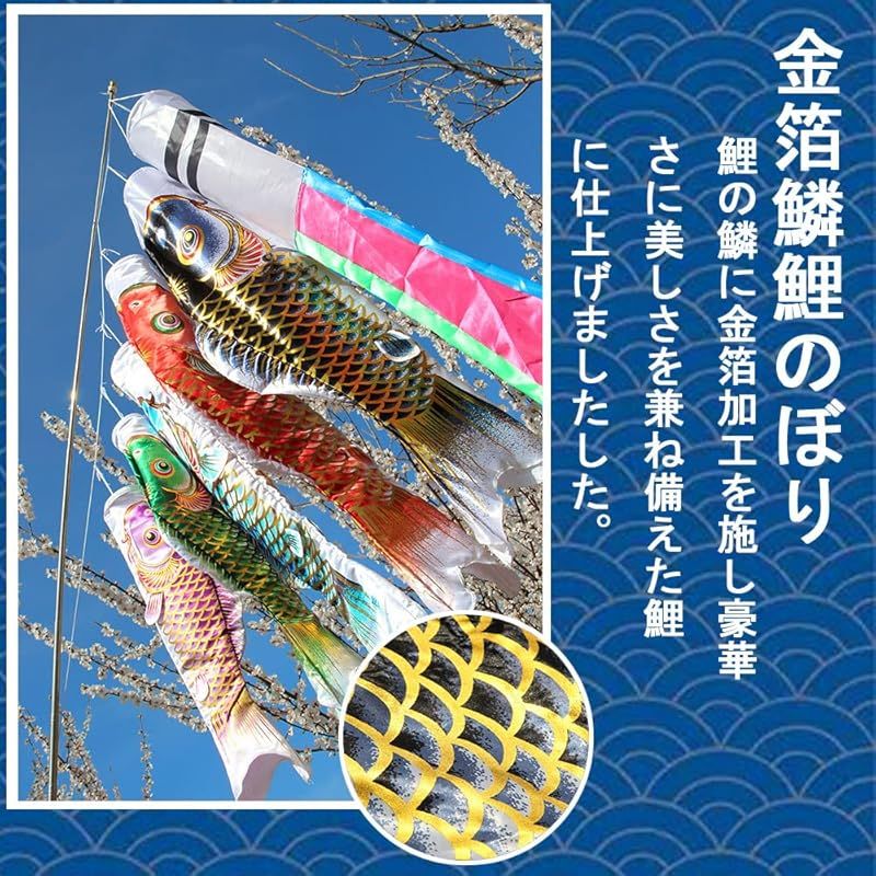 特選 鯉のぼり