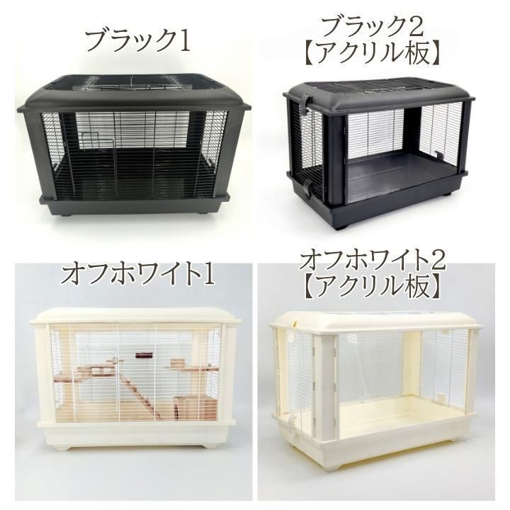 兎 モルモット