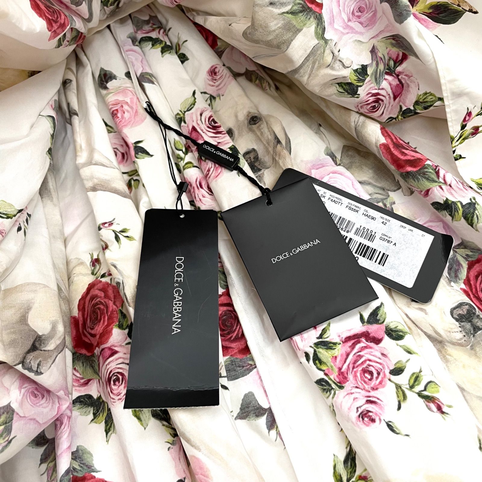 ゴールデンレトリバー ドルチェアンドガッバーナ