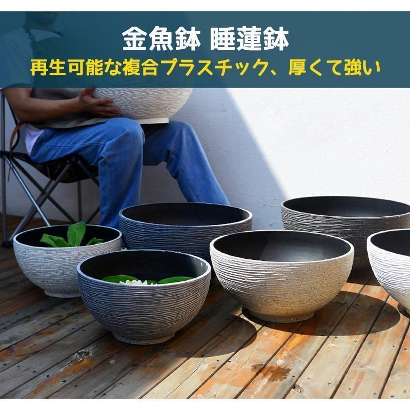 メダカ