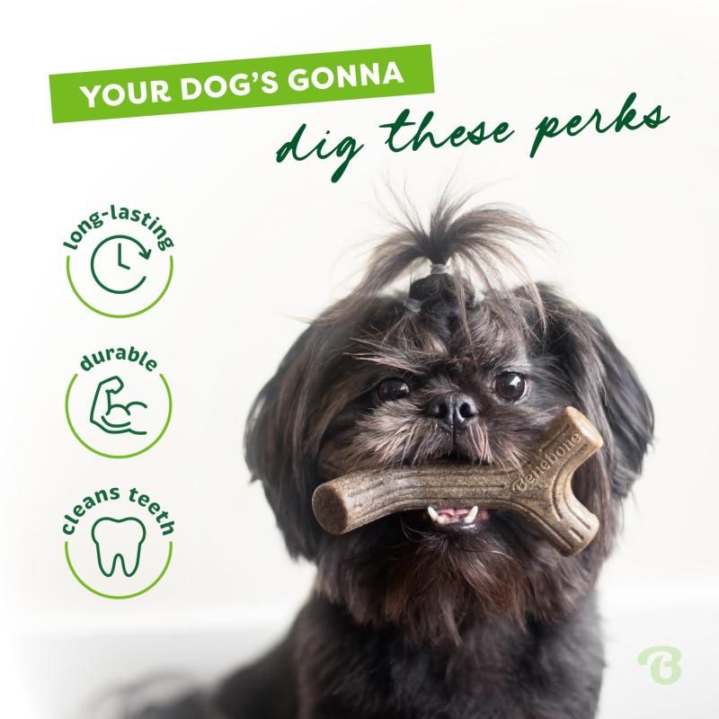 Stella様専用ページ ステラ様 】 専用ページ List of Japanese [B50