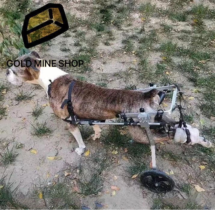 後ろ足用犬