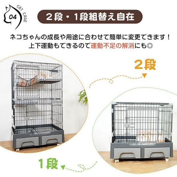 ハウス