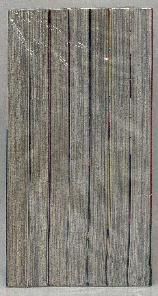 ホビージャパン ホビージャパンコミックス 中村哲也 !!)デュエル