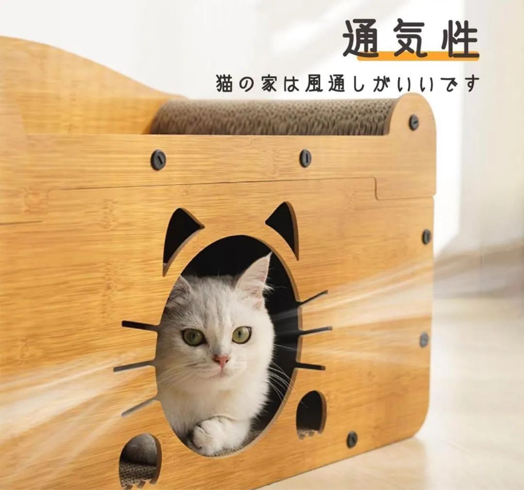大型 猫