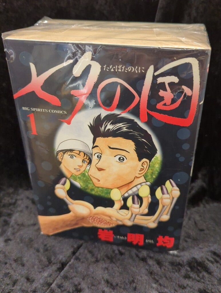 小学館 ビッグコミックス 岩明均 七夕の国 全4巻 初版セット