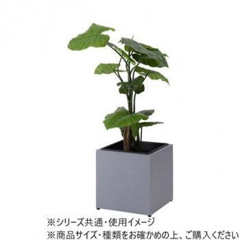 東谷 プランター