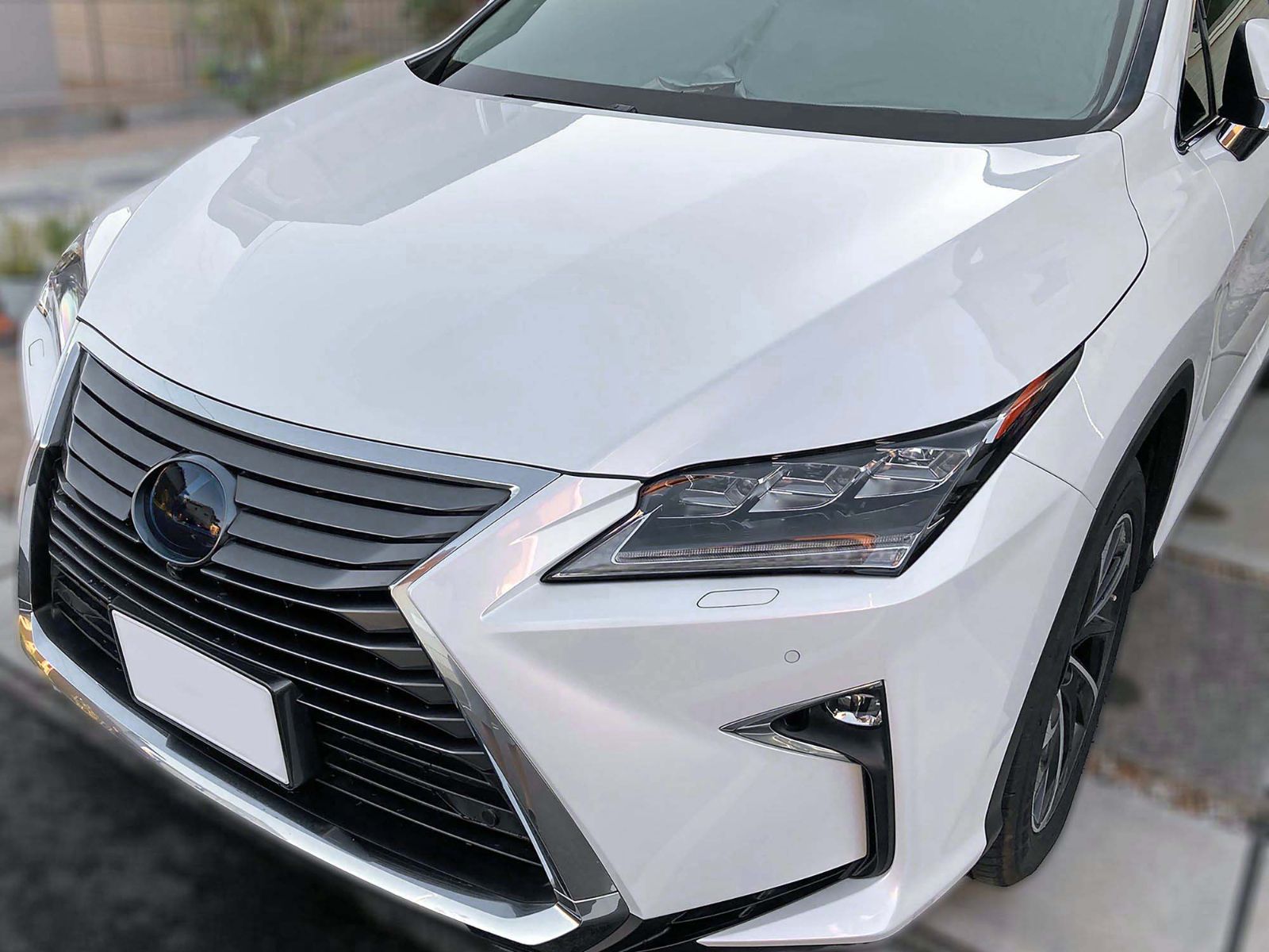 Tint+カット済み エンブレム スモークフィルム レクサスRX 20系