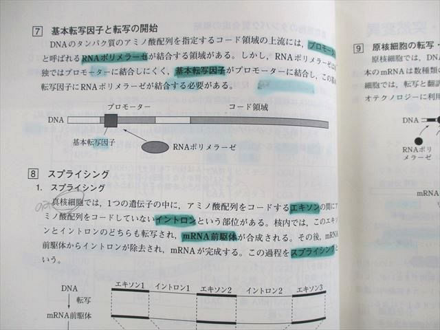 東進ハイスクール スタンダード生物 PART1/2 Vol.1/2 テキスト 2013 計