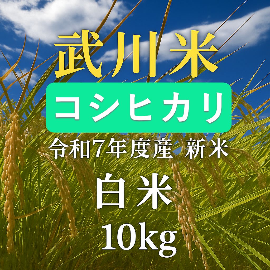 武川米コシヒカリ 10kg 白米 新米 令和7年度産山梨県北杜市武川町産 農家直送 お米 10キロ