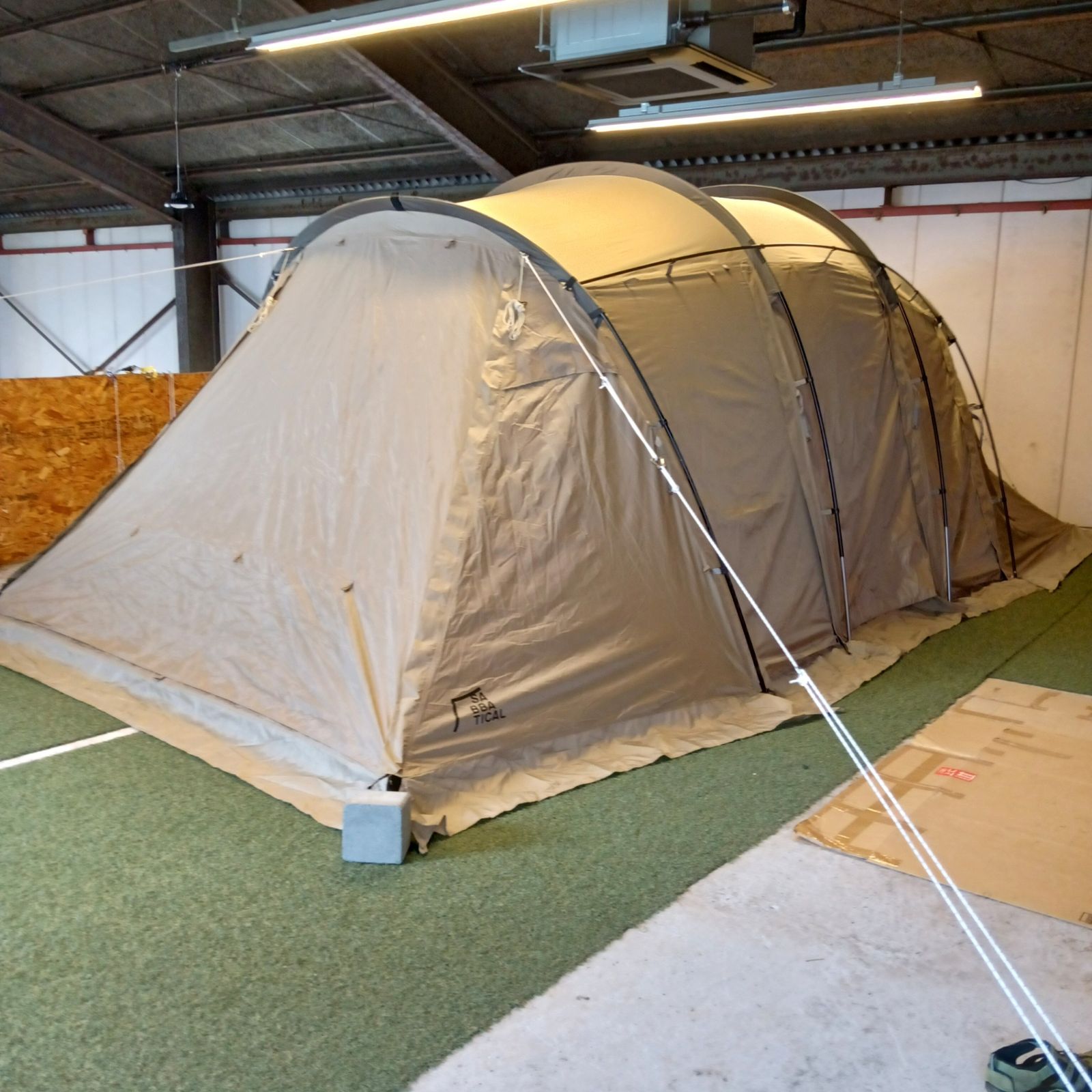 サバティカル アルニカ サンドストーン