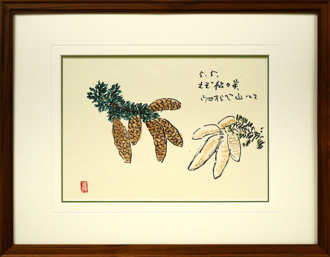 坂本 直行「えぞ松の実（十勝岳温泉ウロオシベ山にて）」水彩画