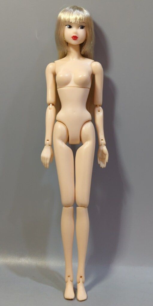 みんなでつくるmomokoドール2008 シルバー