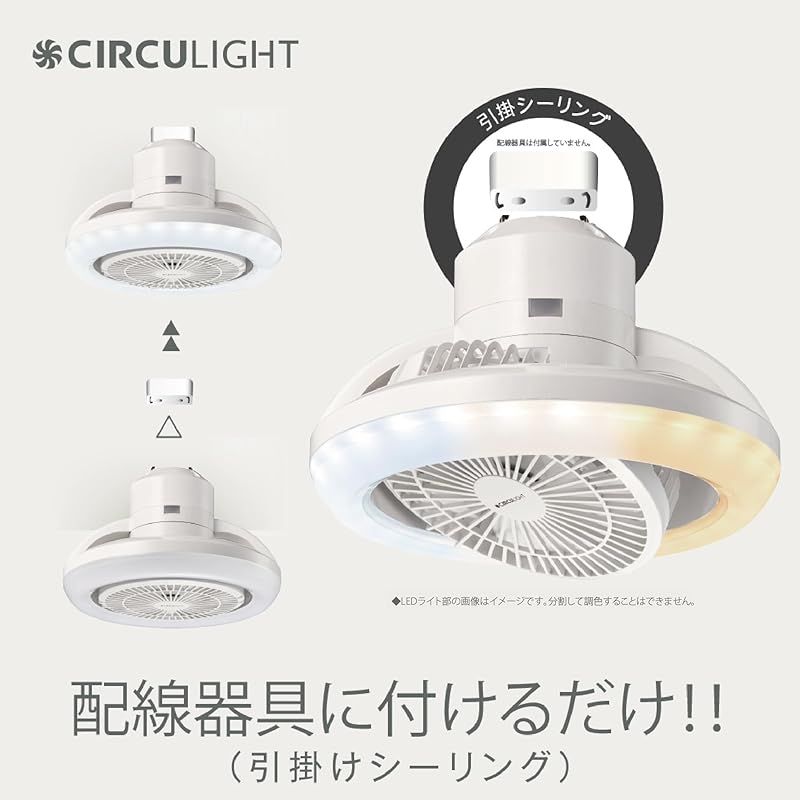 サーキュライト