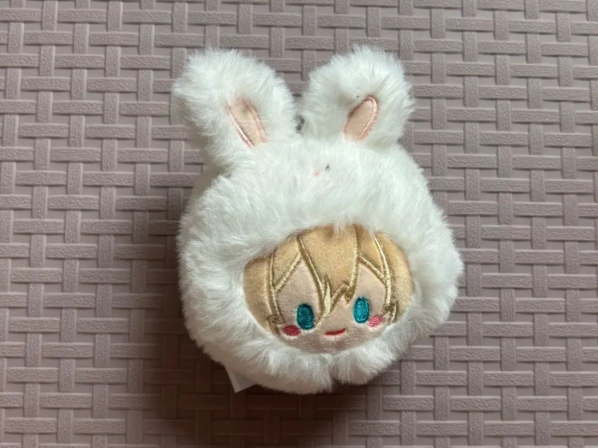 ☆海外ウェア Tail スコート US-S 新品☆海外ブランド TAIL テイル