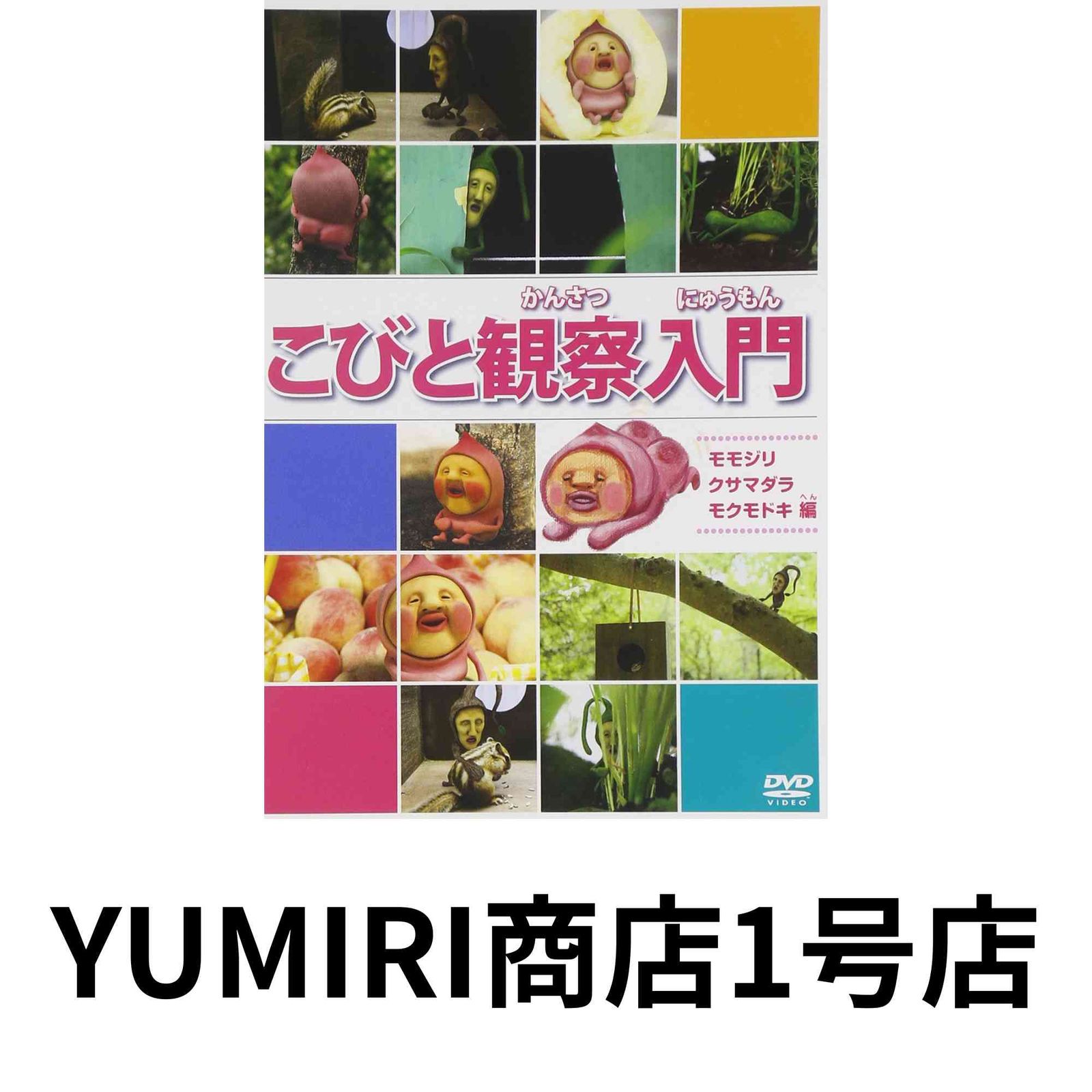 DVD こびと観察入門 モモジリ クサマダラ モクモドキ編 他、大